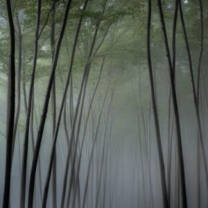 What the River Remembers